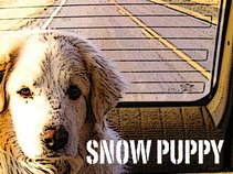 Snow Puppy
