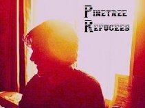 Pinetree Refugees