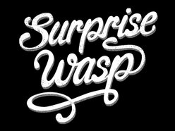 Image for Surprise Wasp