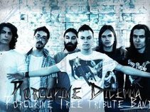Porcupine Dilemma - Porcupine Tree Tribute Band