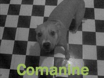 Comanine