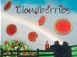 Cloudberry Pie