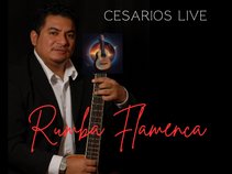 Flamenco Rumba Guitarist Cesarios