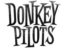 Donkey Pilots
