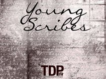 Talent Development Project - Young Scribes