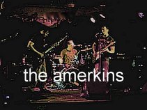 The AMerkins