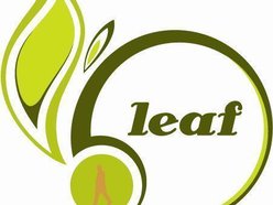 Image for leaf
