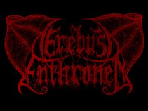 Erebus Enthroned