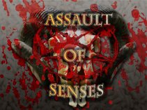 Assault Of Senses