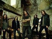 Image for Shadows Fall