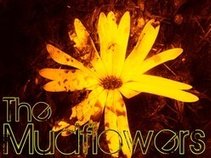 The Mudflowers