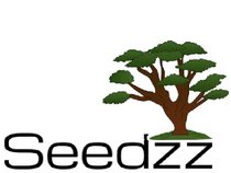 M.J. Seedzz (Peace Music Culture)