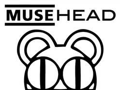 Image for MUSEHEAD