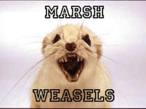 Marsh Weasels
