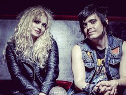 Image for The Dollyrots