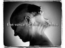 the voice (of the voiceless)