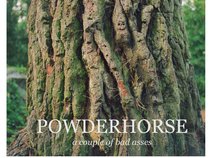 Powderhorse