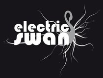 electric swan