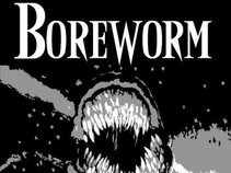 Boreworm