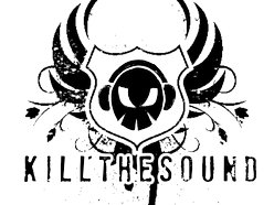 Image for Kill The Sound