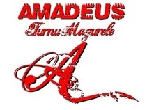 Amadeus Turnu Magurele