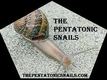 The Pentatonic Snails