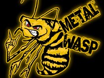 MetalWasp Media