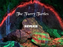 The Furry Turtles