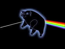 Pigs on the Wing - Pink Floyd Tribute