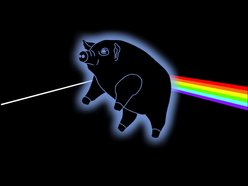 Image for Pigs on the Wing - Pink Floyd Tribute
