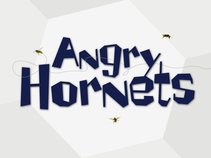 Angry Hornets