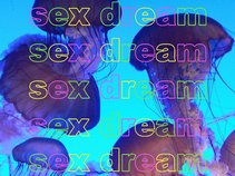 SEX DREAM