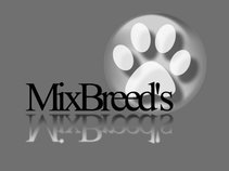 MixBreed's