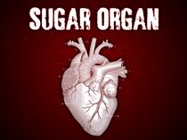 Sugar Organ