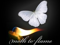 Moth to Flame