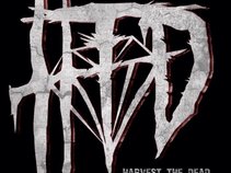 Harvest the Dead