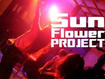 SunFlowerProject