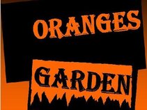 Oranges Garden