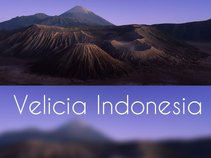 VELICIA INDONESIA