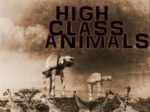 High Class Animals