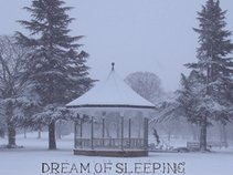 Dream Of Sleeping