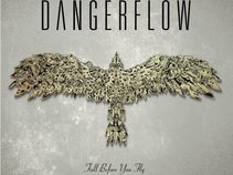 Dangerflow