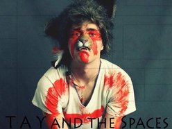Image for T A Y and The Spaces