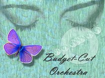 Budget-Cut Orchestra