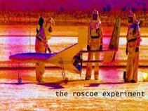 The Roscoe Experiment