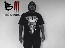 B3 The Shark
