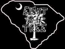 Eight Oh Tree