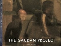 THE GAUDAN PROJECT