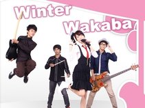 Winter Wakaba