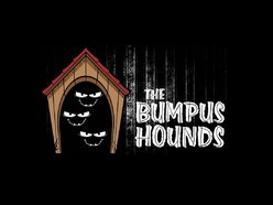Image for The Bumpus Hounds